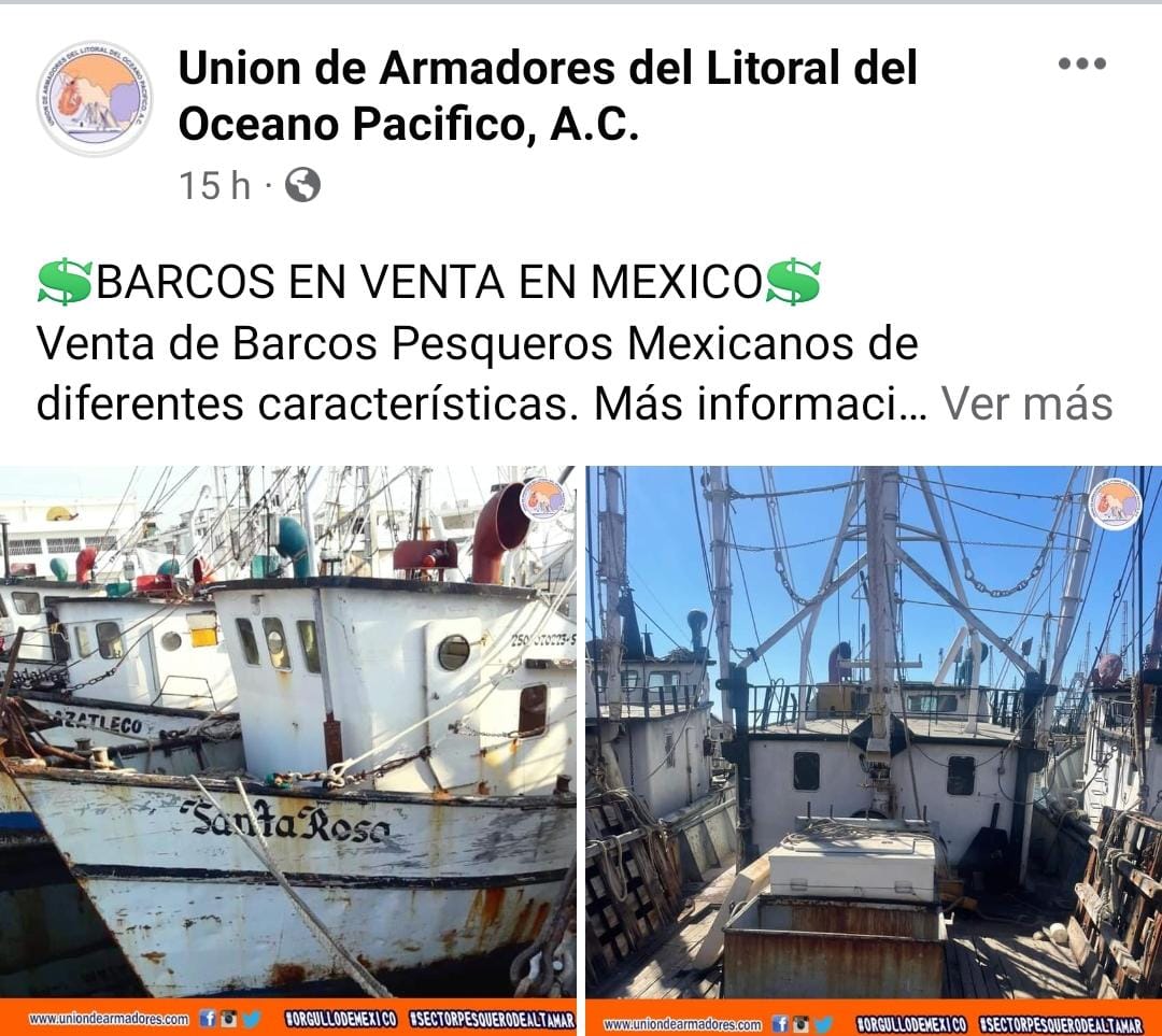 Empieza venta de barcos camaroneros ante crisis del sector: Unión de Armadores