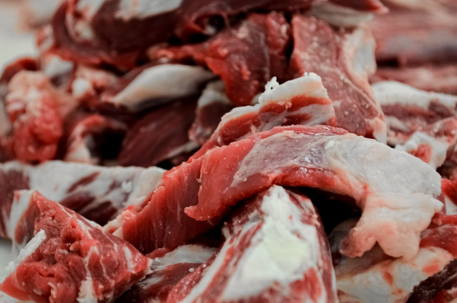 ¿Come usted carne? Tenga cuidado, en la mira seis rastros clandestinos de Mazatlán; regresarán operativos de autoridades para frenarlos