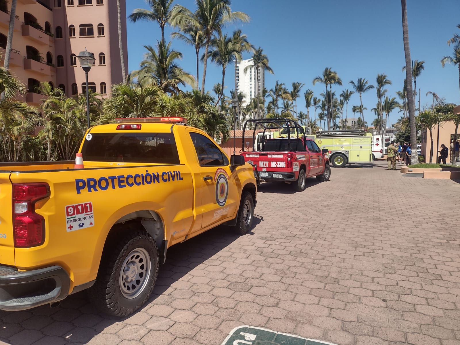 Abejas atacan a turistas y personal de un hotel en zona de Cerritos en Mazatlán