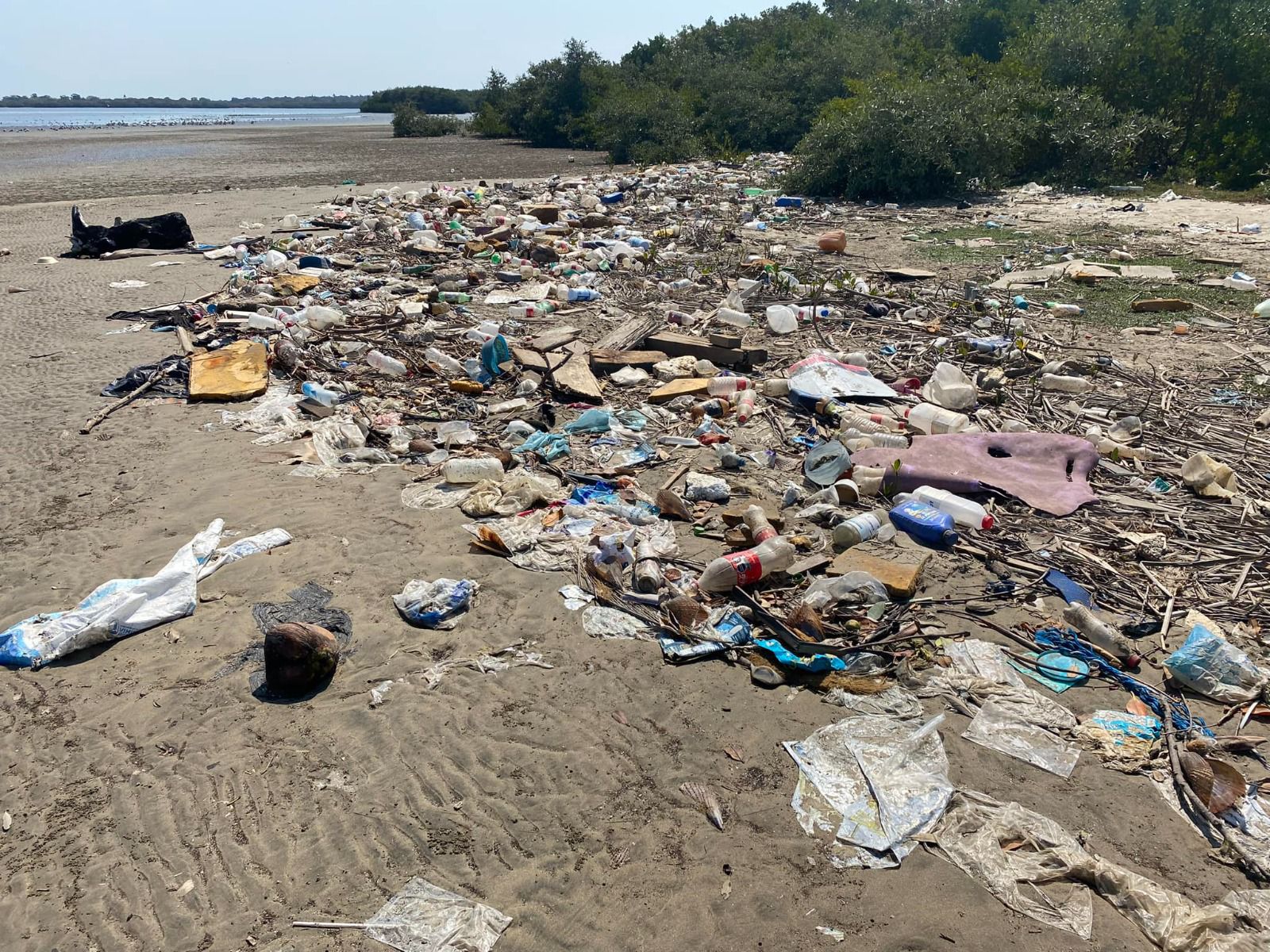 Admite alcalde de Mazatlán que contaminación en la Isla de la Piedra se salió de control