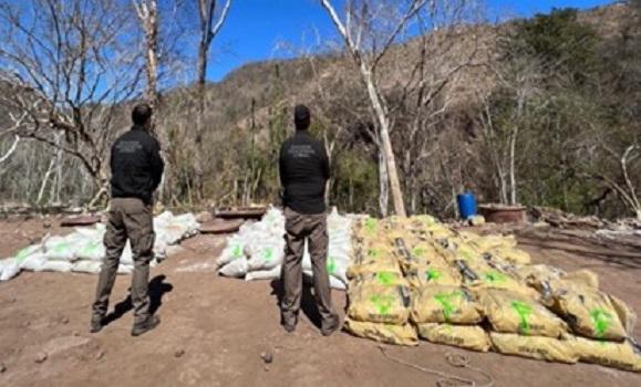 Asegura el Ejército otro narcolaboratorio en Sanalona