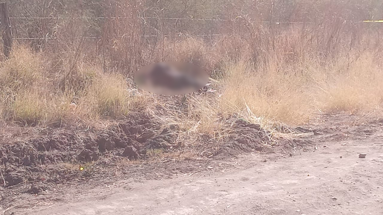 Asesinado a balazos localizan a un hombre en brecha, al sur de Culiacán