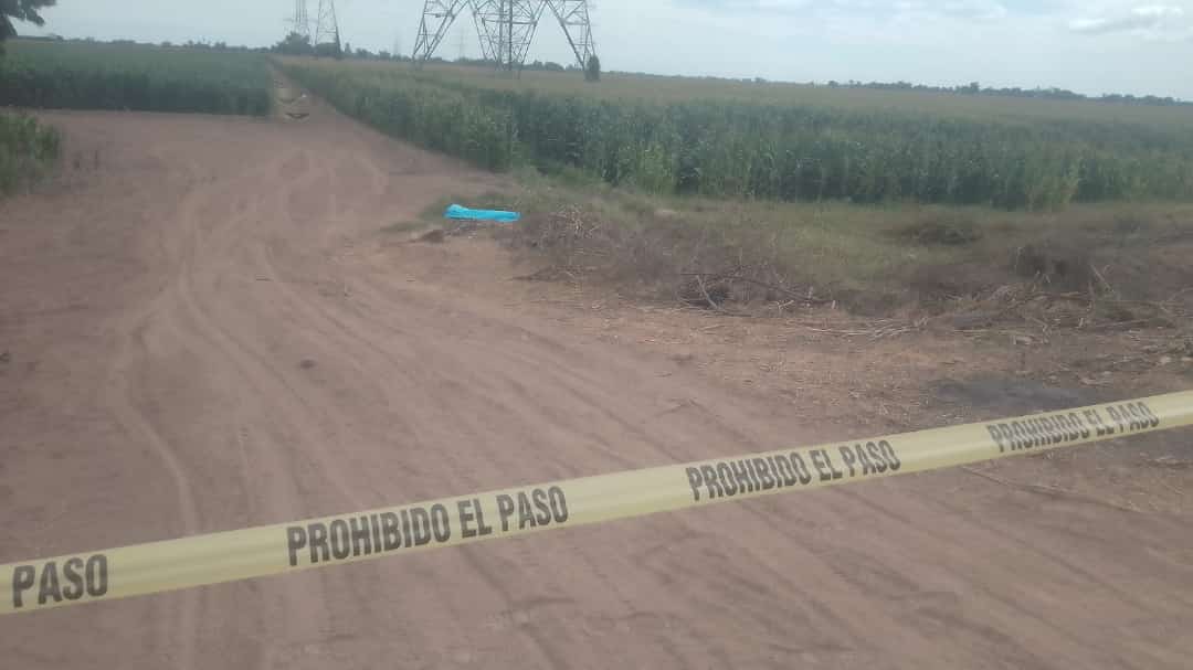 Asesinado a golpes, es localizado un hombre en zona rural, al oriente de Culiacán