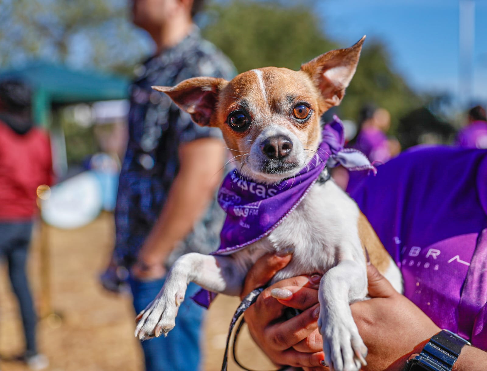 Con recaudado en la Canrrera Vibra se harán esterilizaciones en municipios donde no llegan estas campañas