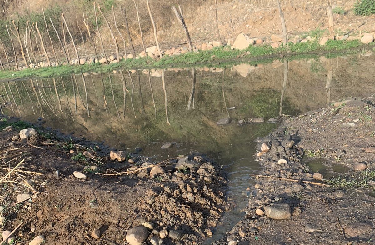Se agrava la crisis del agua en Choix, plantas purificadoras anuncian su cierre y en comercios se agotó la embotellada