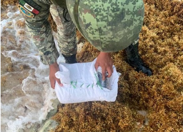 ¡Escondida entre el sargazo! Encuentran&nbsp; más de 20 paquetes de droga en playa de Quintana Roo