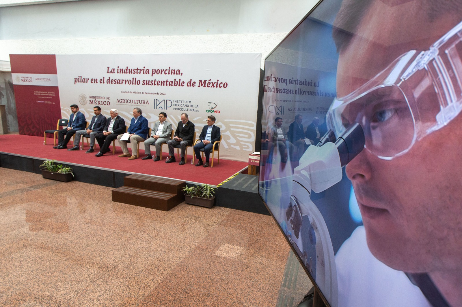 Buscan garantizar la sanidad y abasto de carne de cerdo en México; Sinaloa va creciendo en producción