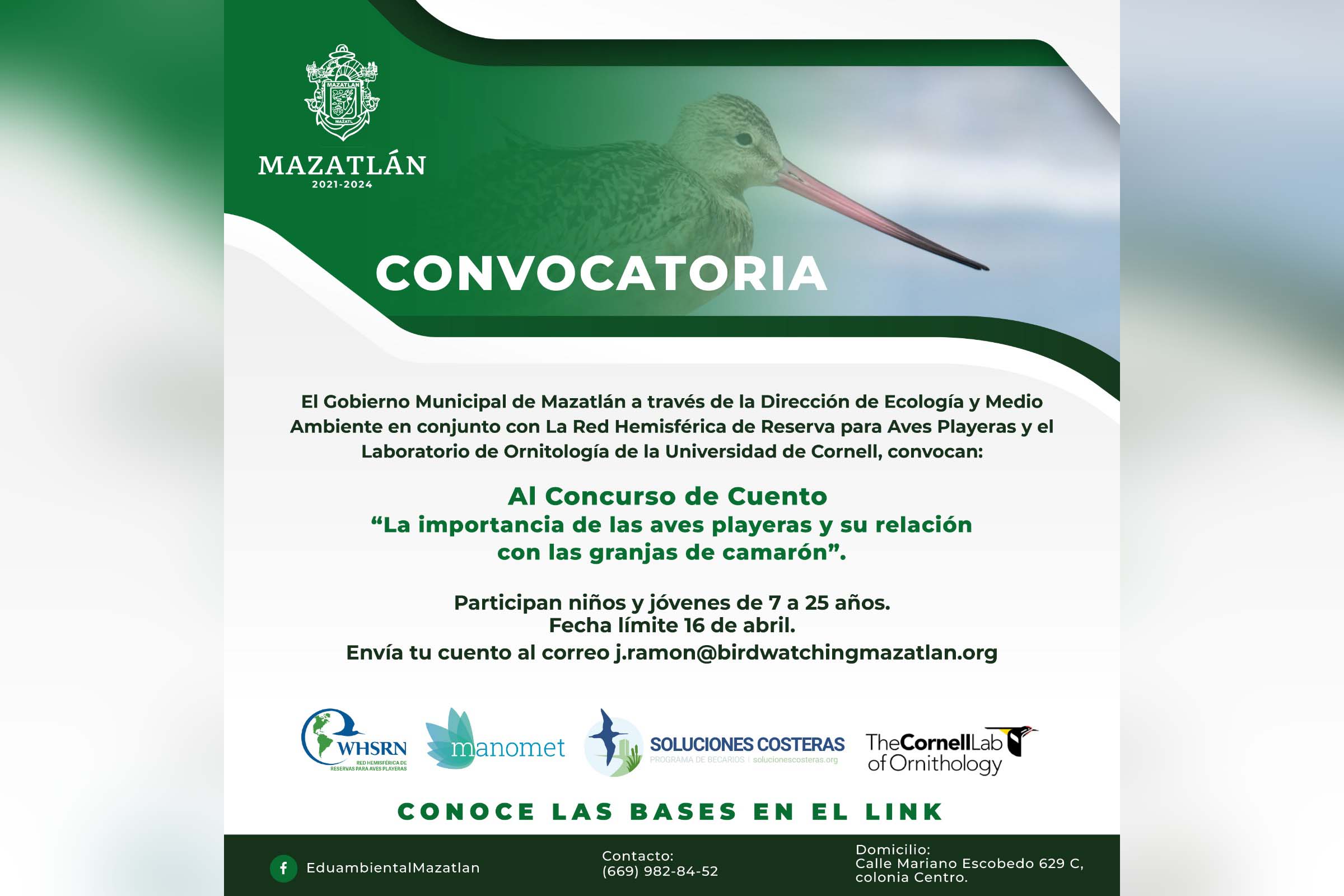 Invitan al concurso de cuento “La importancia de las aves playeras y su relación con las granjas de camarón”