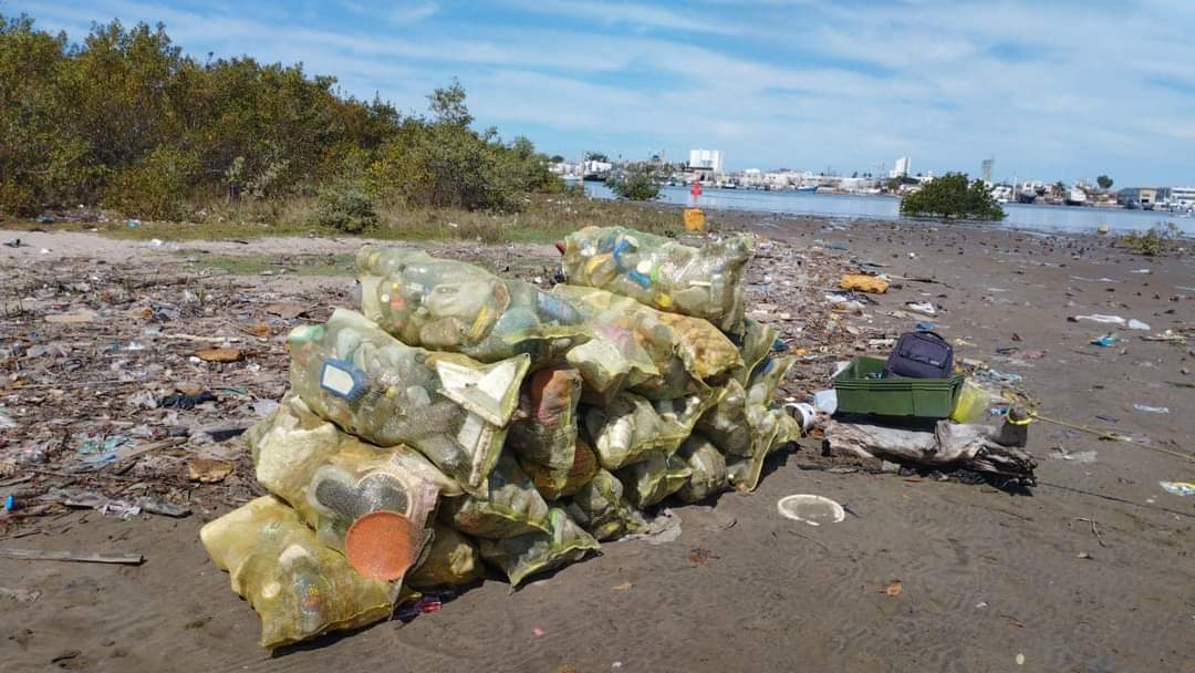 Limpian manglares de la Isla de la Piedra y piden parar la contaminación