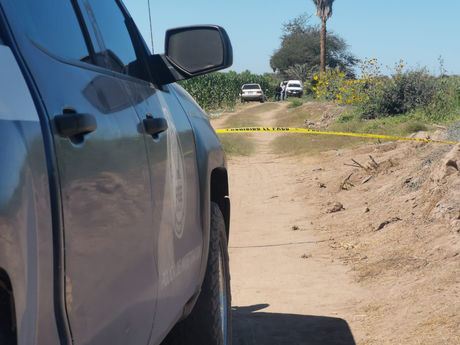 Localizan un cuerpo sin vida en predio agrícola de Goros 2, municipio de Ahome