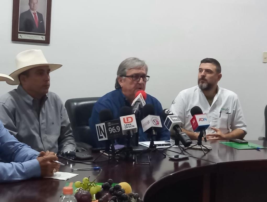 Todavía no hay precio para maíz y trigo; líderes agrícolas y SAyG ven panorama complicado