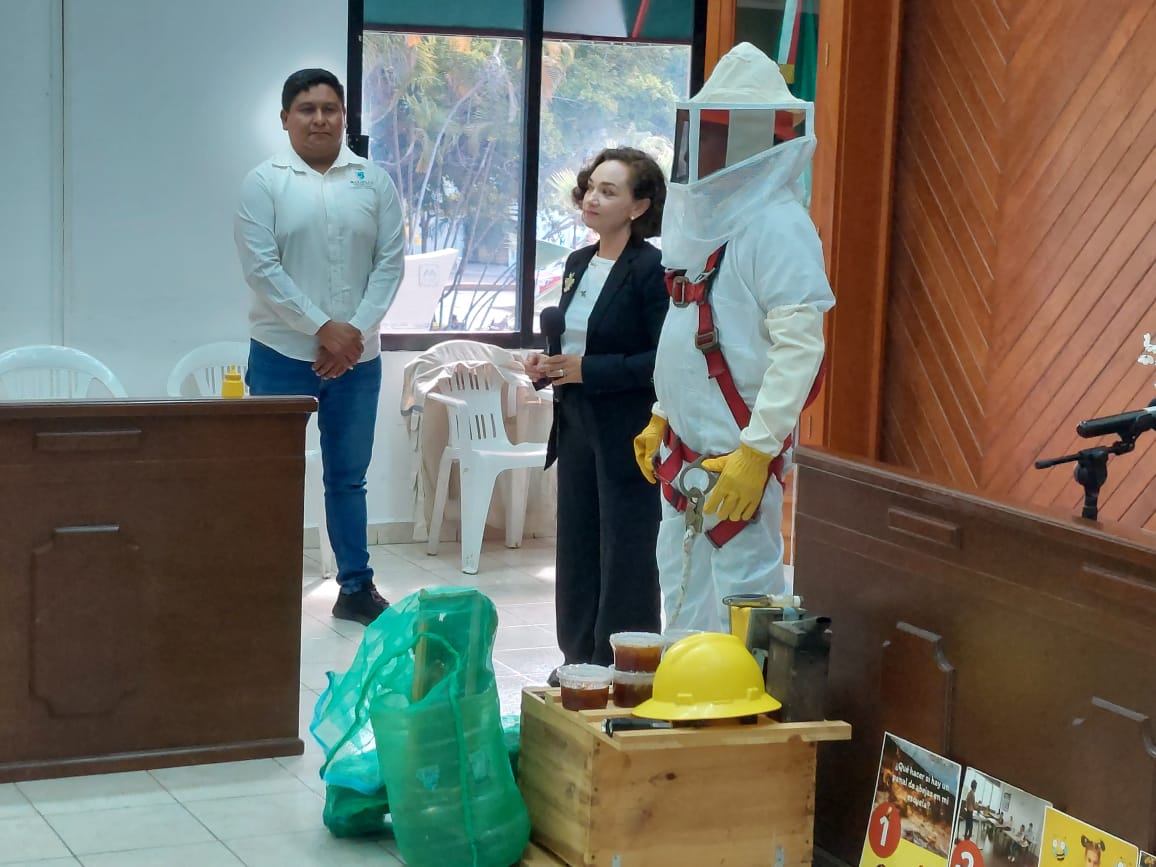 Mazatlán a la vanguardia con cuidado de abejas; presenta plan para protección y rescate