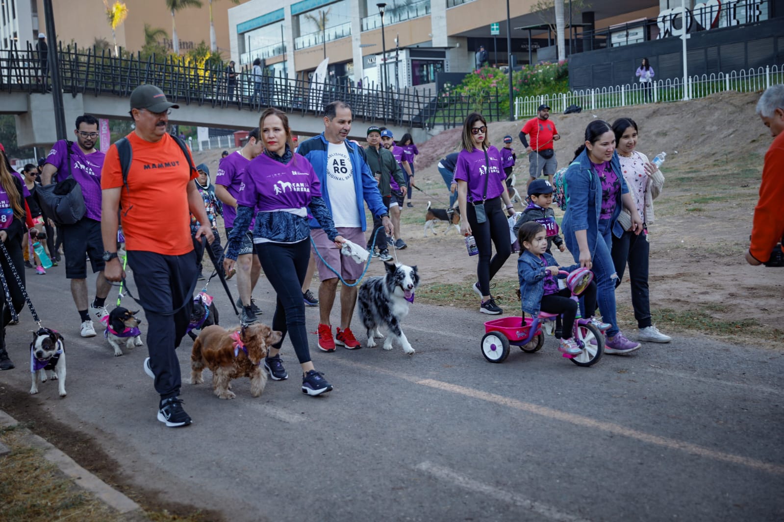 Perritos de tres patas o con alguna condición física participaron en la segunda gran Canrrera de Vibra
