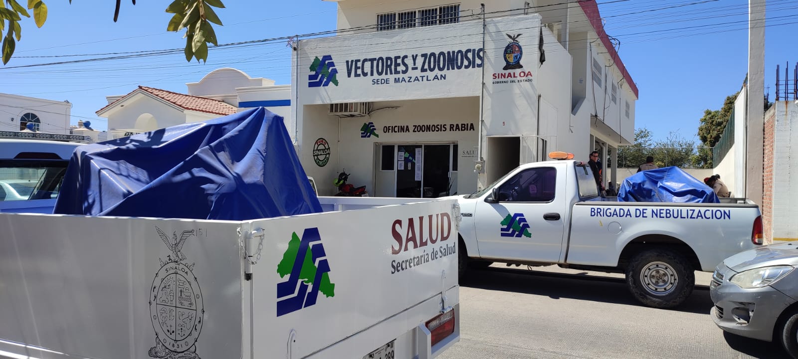 Personal de Vectores y Zoonosis, en Mazatlán, piden gastos de campo y equipo para trabajar