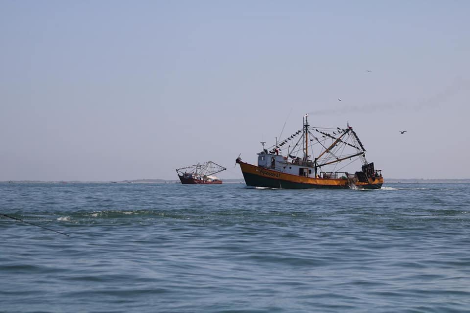 ‘Pesca de altamar no se va a acabar’, confía Secretaria de Pesca en Sinaloa que flota camaronera pueda recuperarse