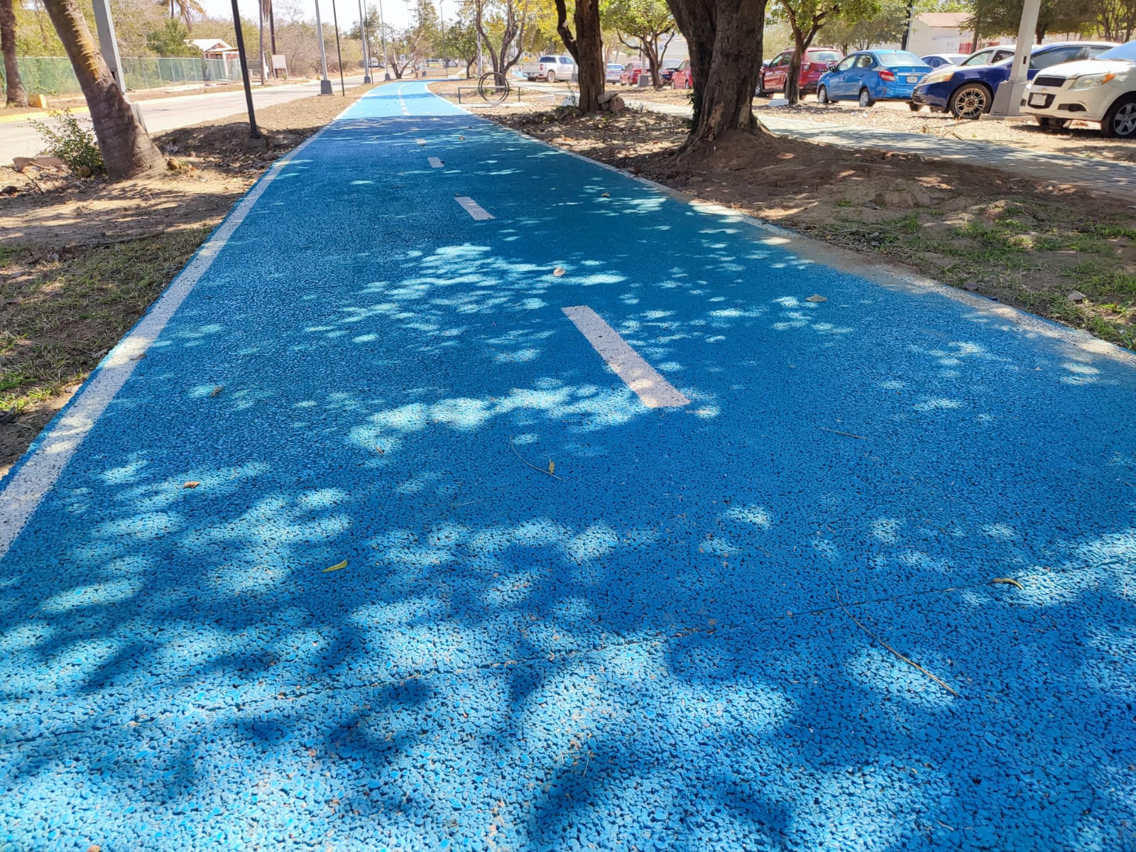 Preparan 5.51 kilómetros de ciclovía como primer circuito de Mazatlán