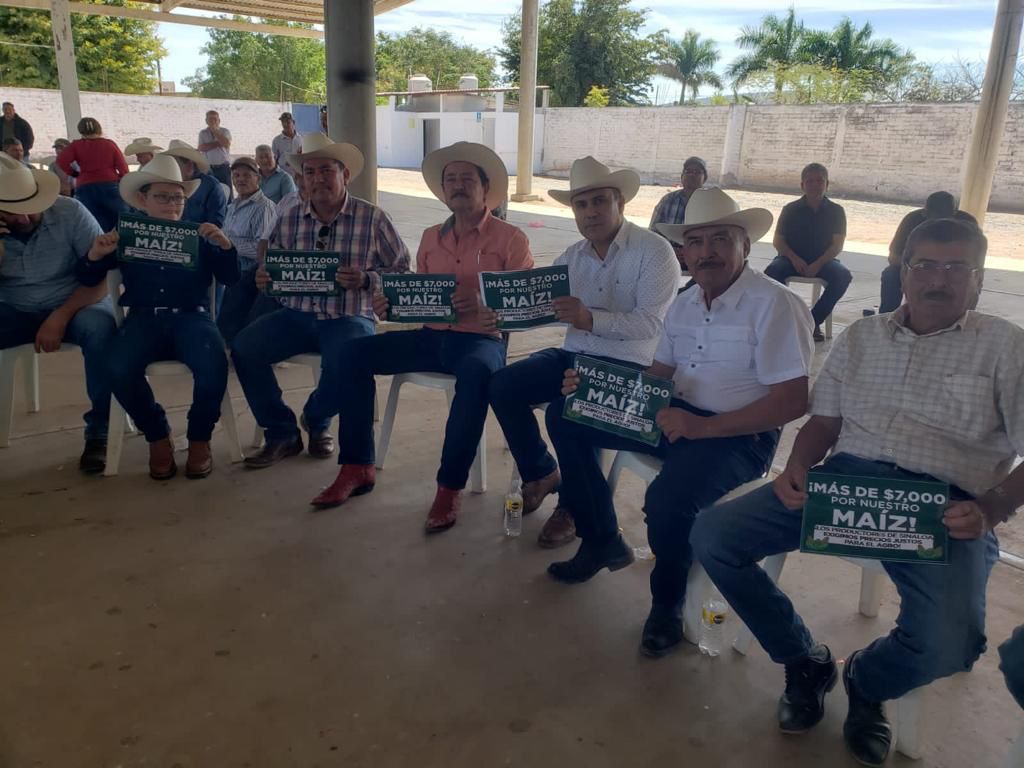 Productores de Angostura buscarán acercamiento con AMLO en su próxima visita a Sinaloa