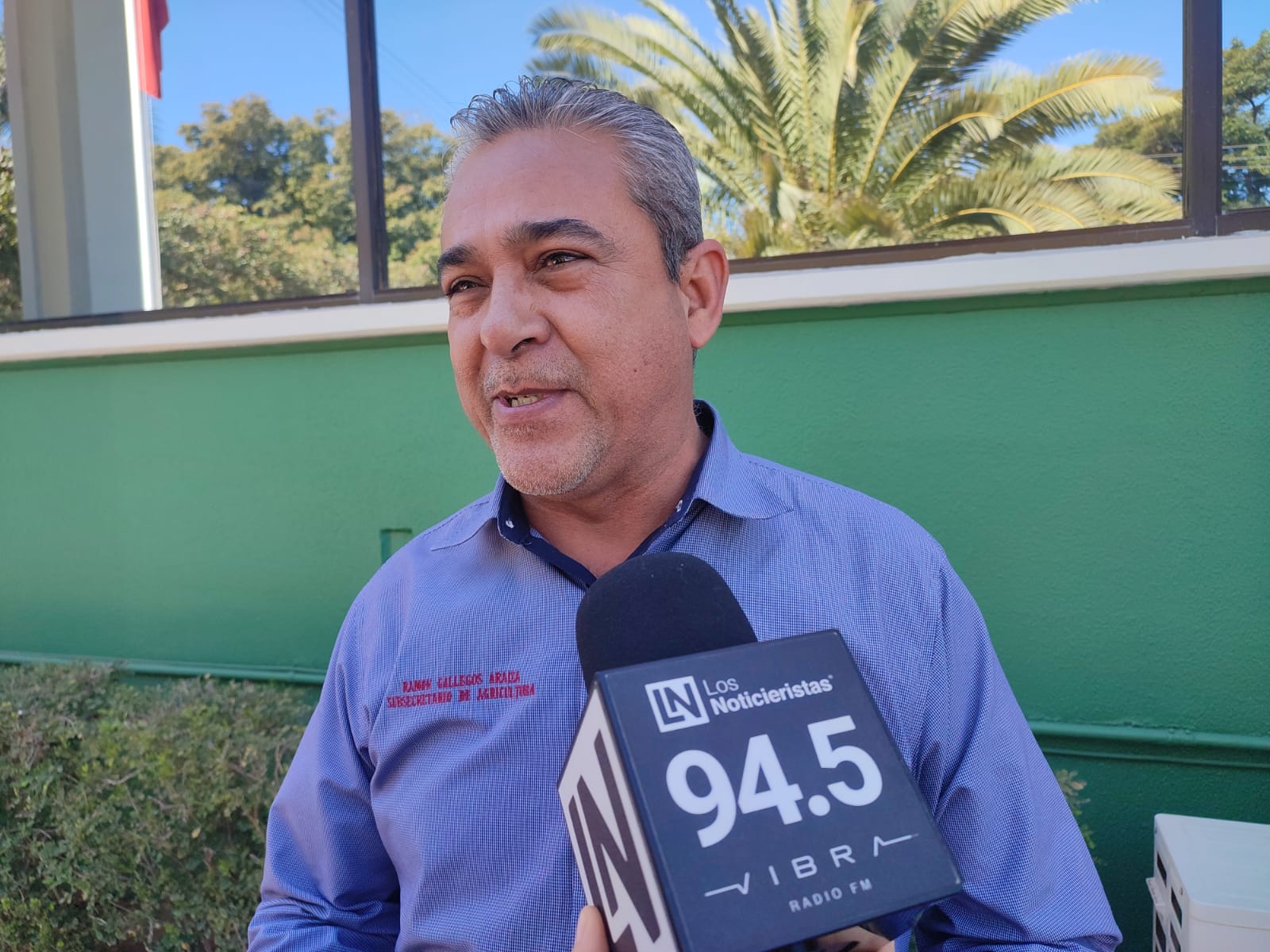 Por afectaciones climáticas, Sinaloa no tendrá un volumen excedente de maíz, mercado interno favorecerá buen precio 