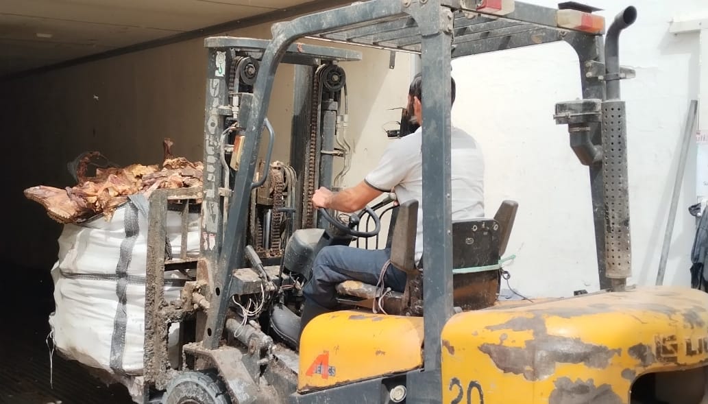 Restos de res y puerco, la causa del olor a putrefacción en la colonia El Palmito: Protección Civil &nbsp;