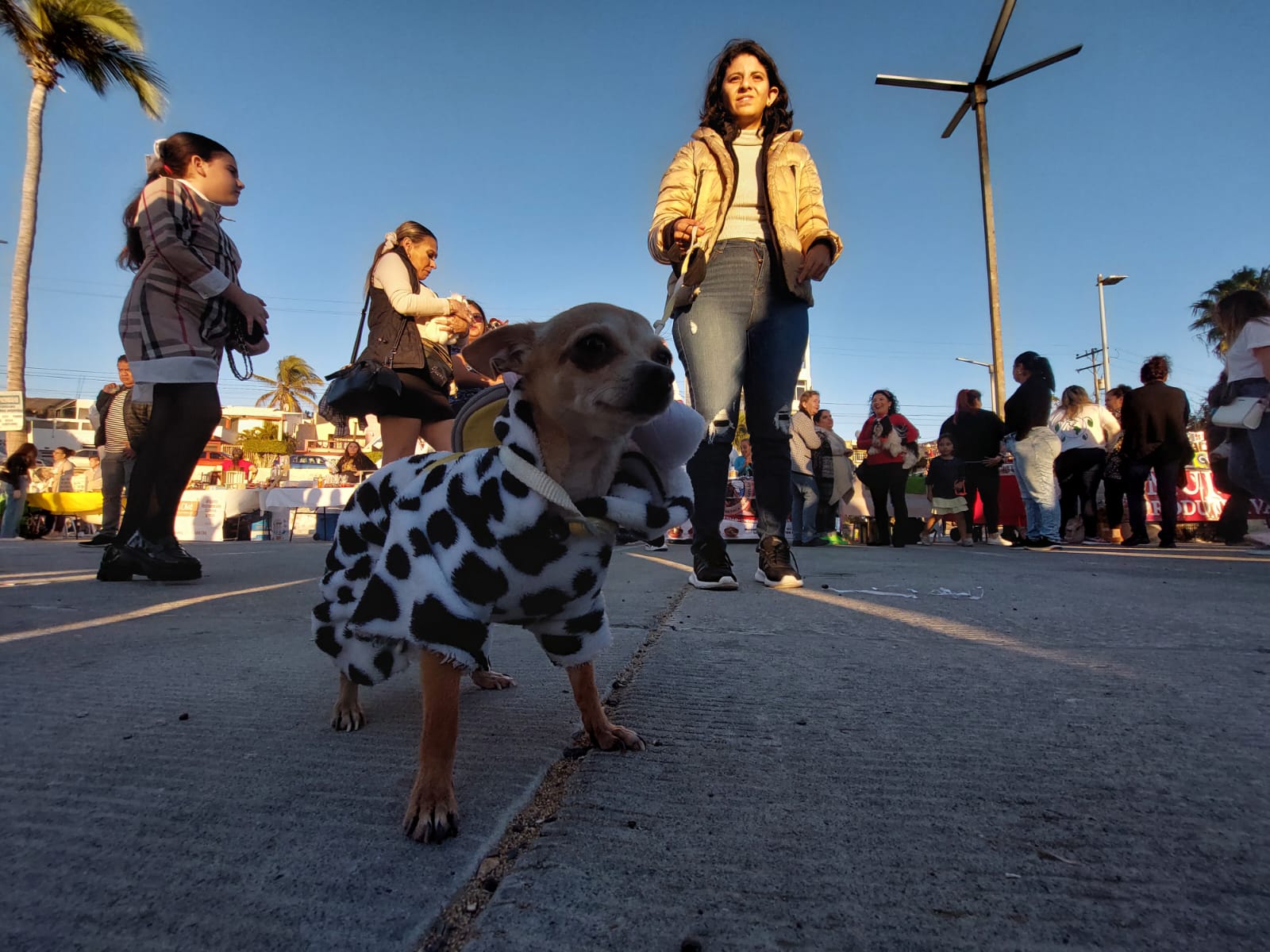 Se unen mazatlecos por una buena causa y pasan una linda tarde al lado de sus perritos