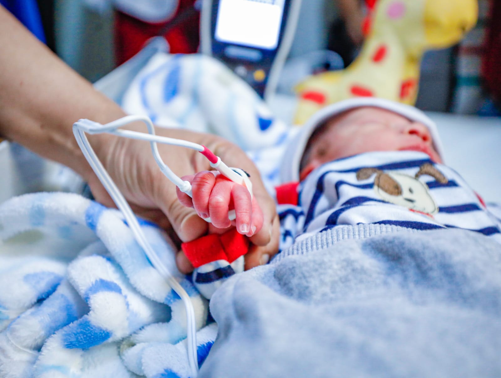 Arranca programa de Tamiz Cardíaco Infantil en Sinaloa; entérate en qué hospitales