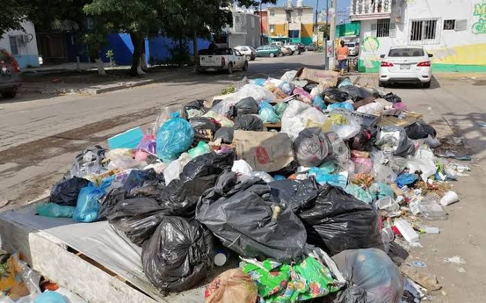 Le darán ‘garras’ a la dirección de Ecología con actualización de reglamento: Murúa Figueroa