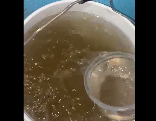 Japamach sostiene que verifican la calidad del agua que llega a los domicilios, además de que distribuyen en pipa