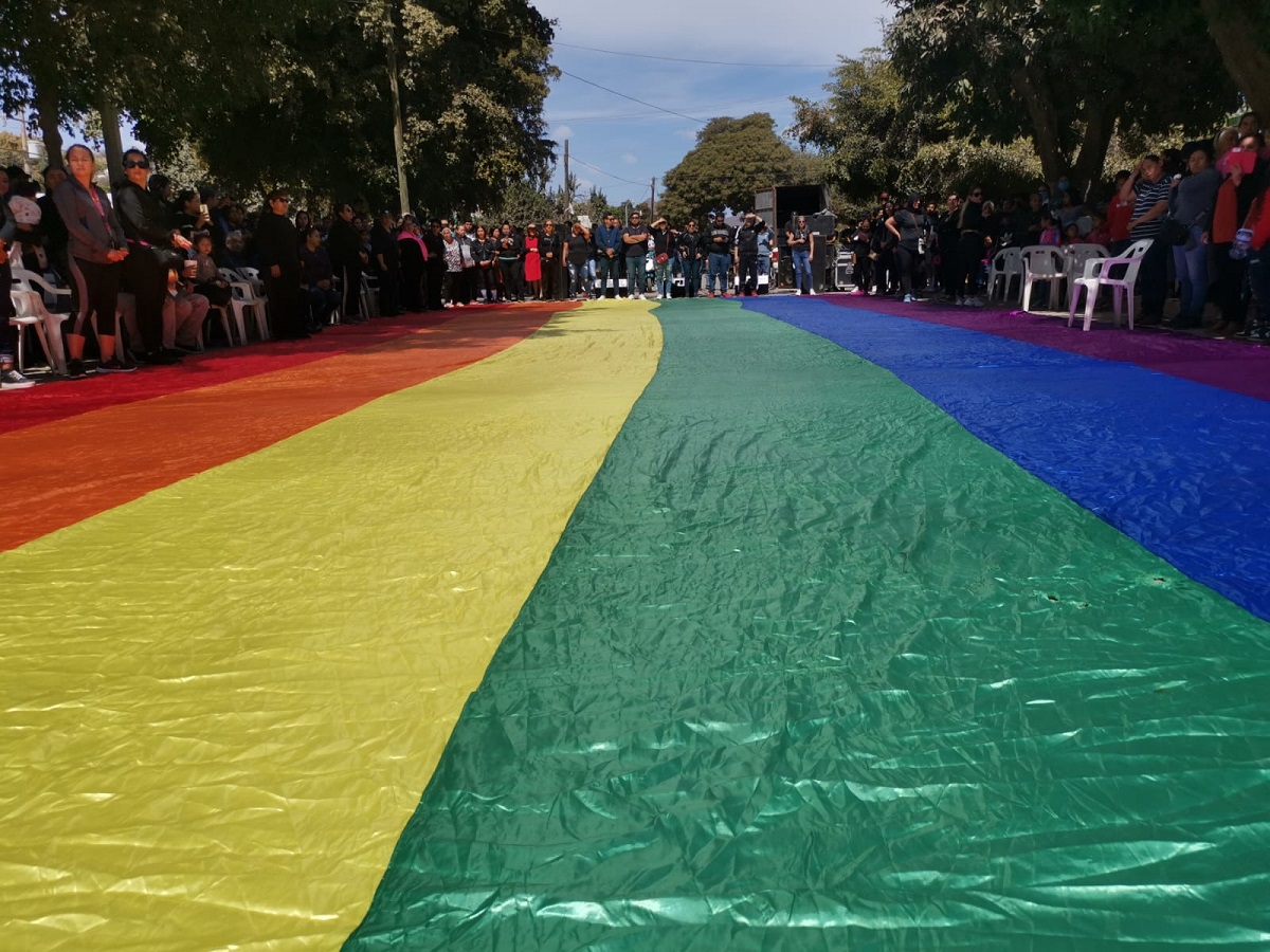 “No mataron a un perro, mataron a un ser humano, exigimos justicia”: Amigos de Violeta