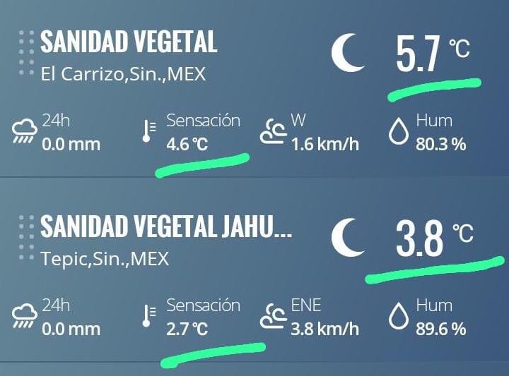 Cae el termómetro en El Carrizo hasta 3.8 grados; los vehículos amanecen con una capa de hielo