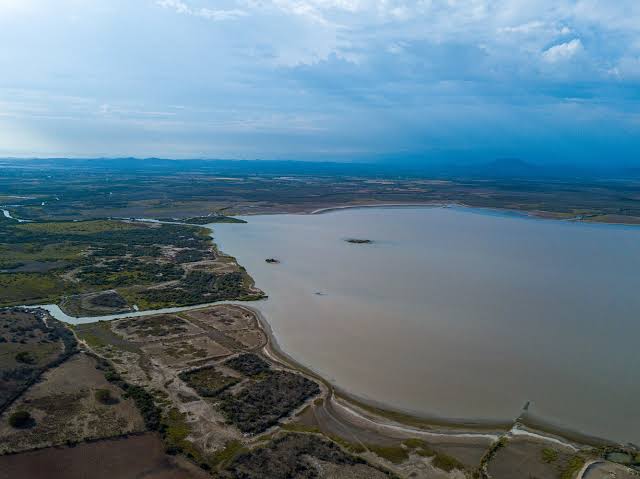Viable convertir el Huizache-Caimanero en zona de ecoturismo: Patrón Rosales