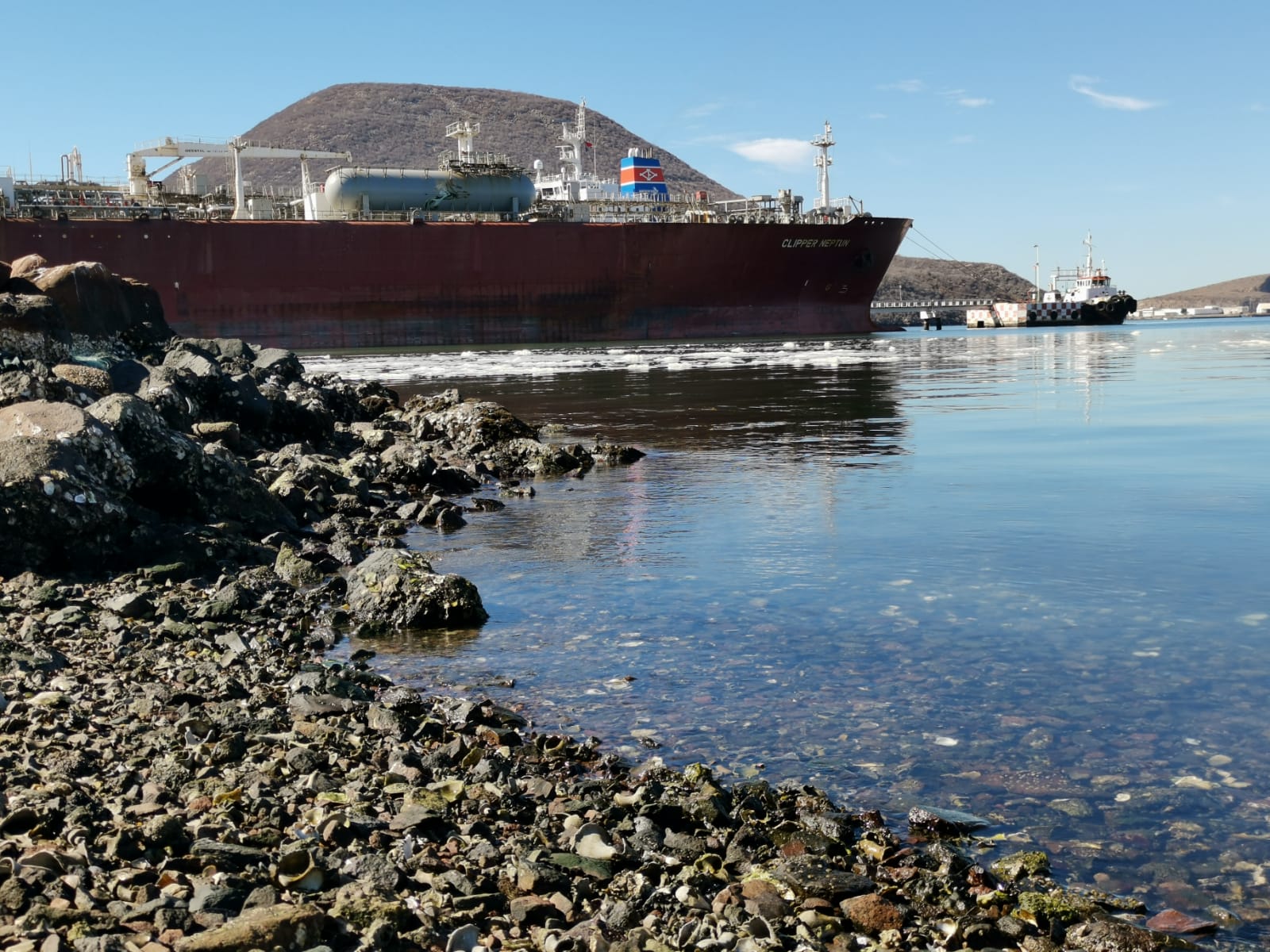 Sin establecer Capitanía de Topolobampo origen de la fuga de amoniaco; busca pruebas suficientes