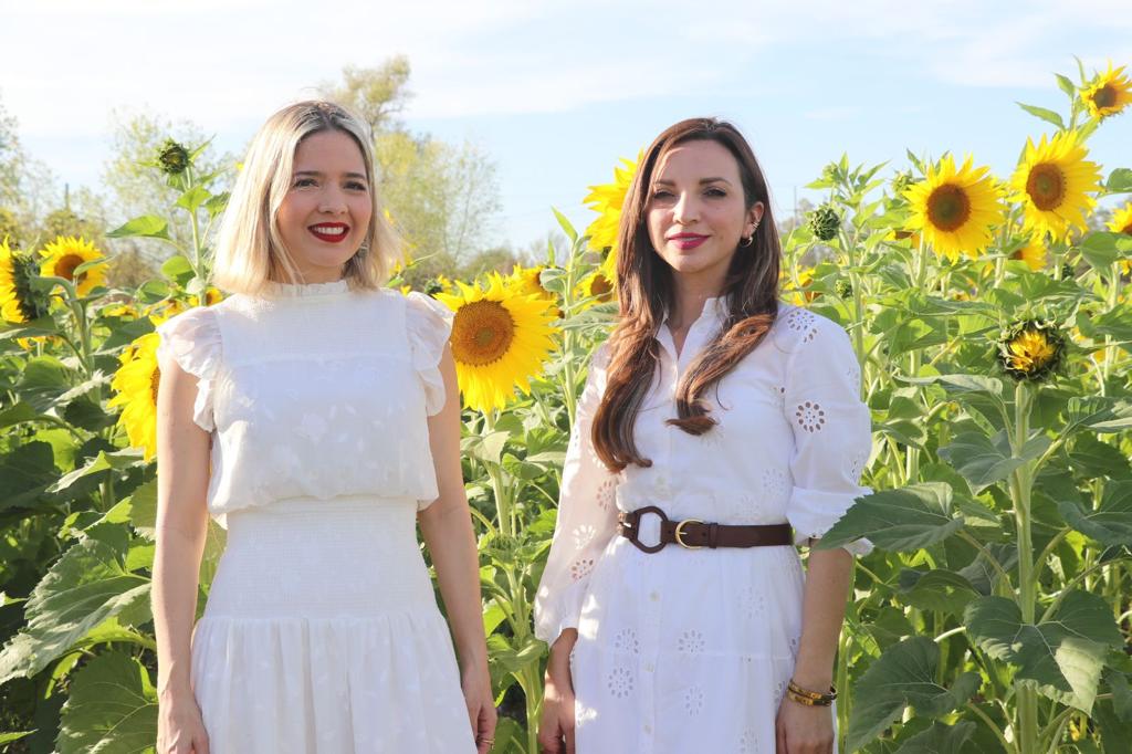 Abre el campo de girasoles en Mocorito, ¡visítalo!