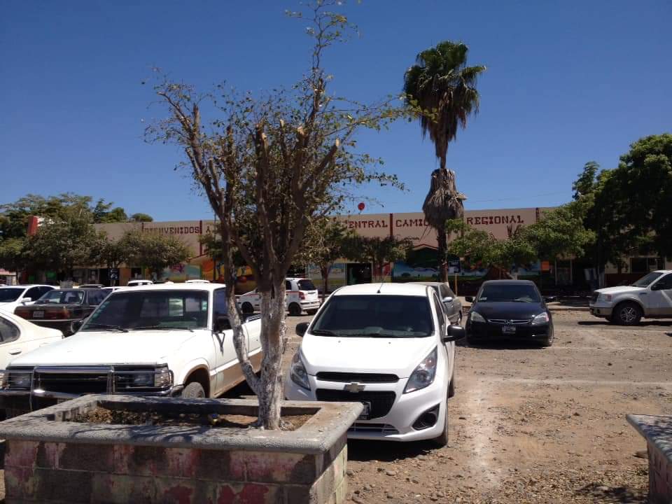 ¡Para que los clientes vuelvan! Pondrán sello a compradores en la Central Camionera de Guasave