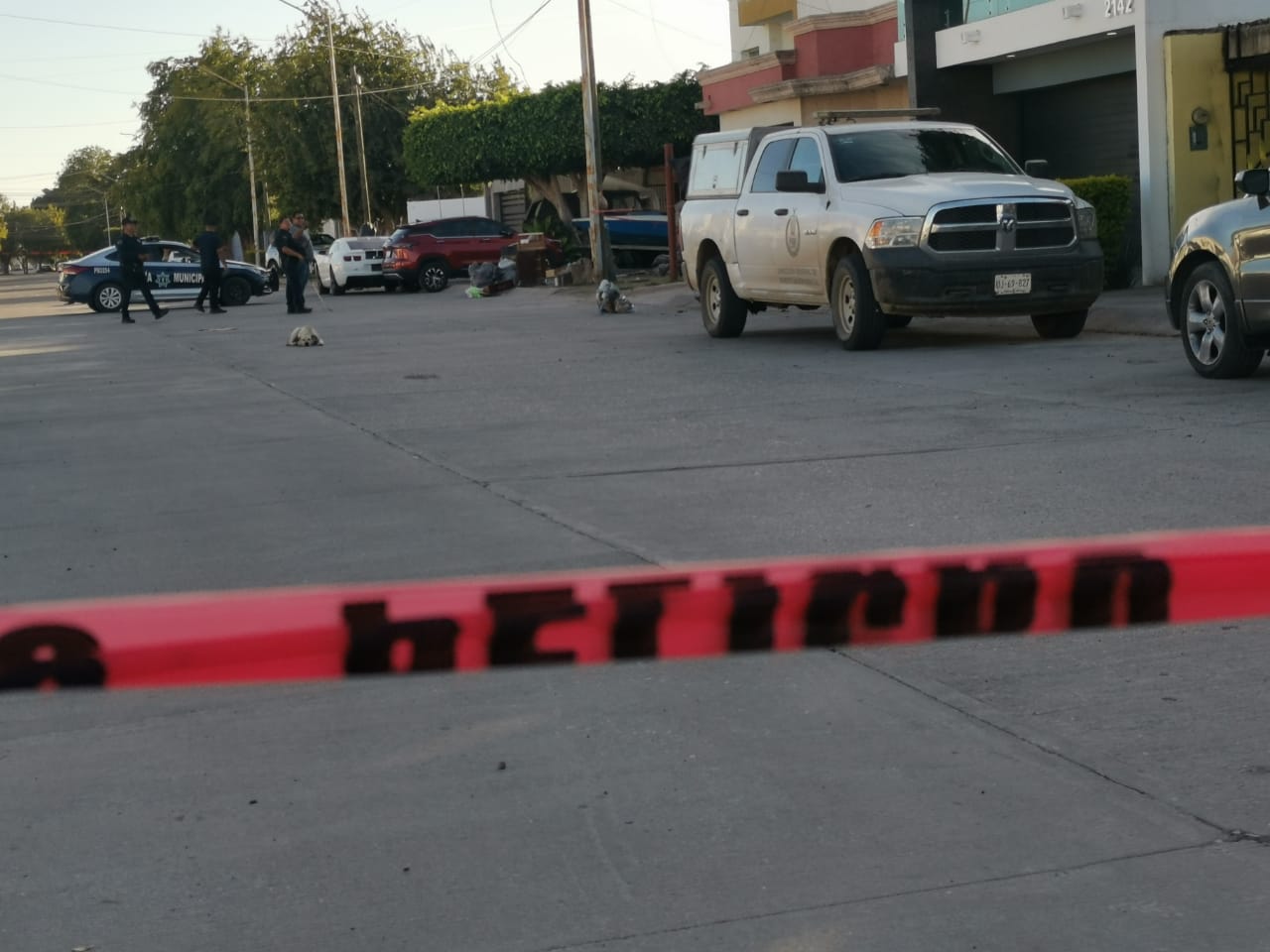 Localizan osamenta que podría ser de un menor de edad en plena calle en Los Mochis; los traía un perro