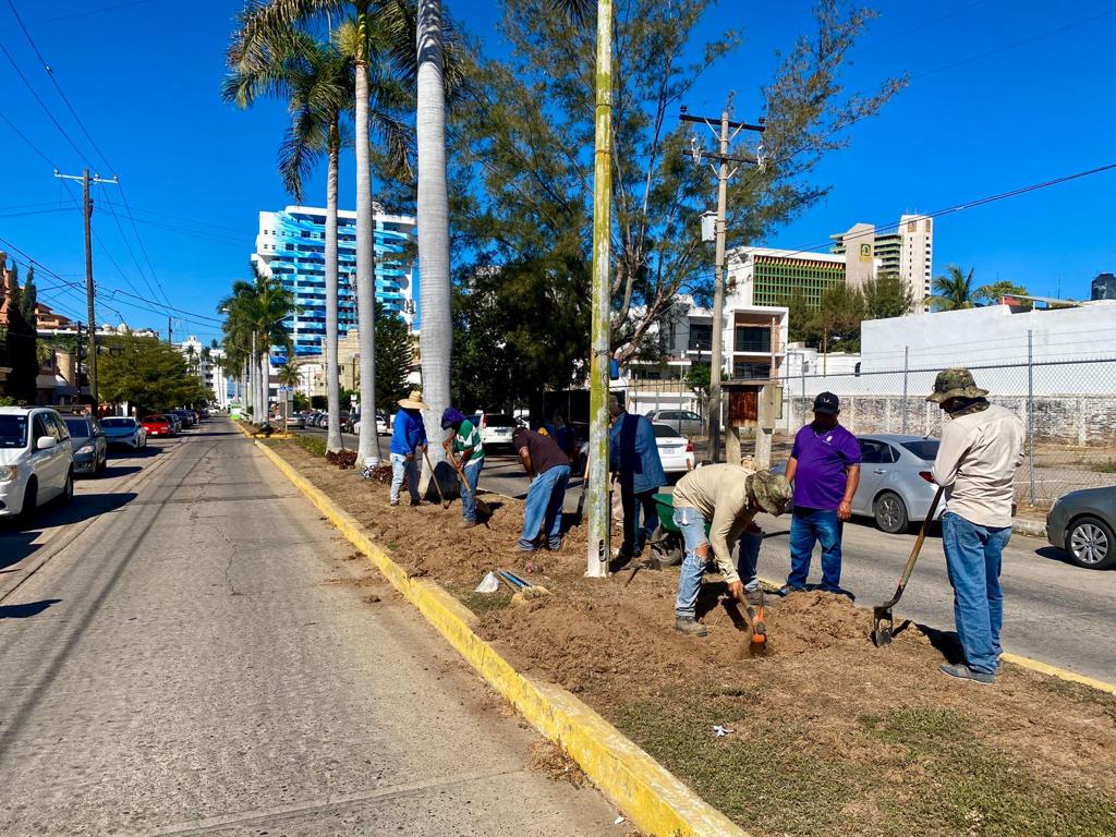 Le dan su ‘manita de gato’ a jardineras y accesos a zona turística de Mazatlán previo a Semana Santa