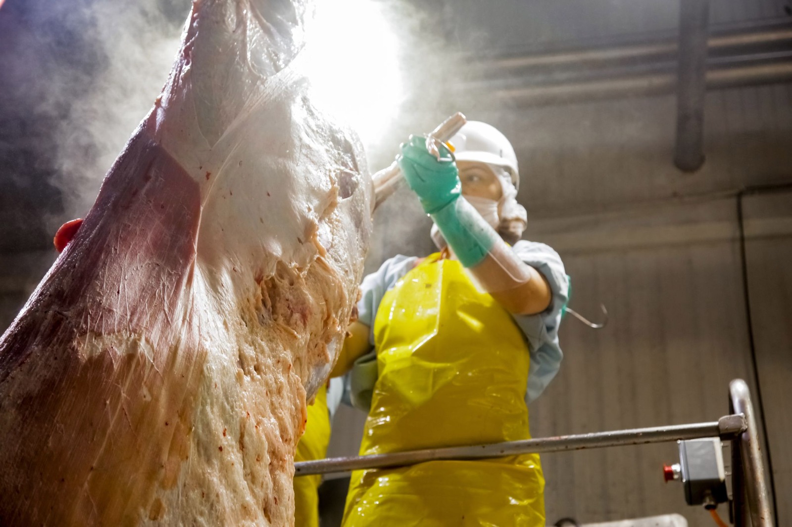 México puede importar cárnicos de Brasil bajo estos requisitos, para evitar la fiebre aftosa
