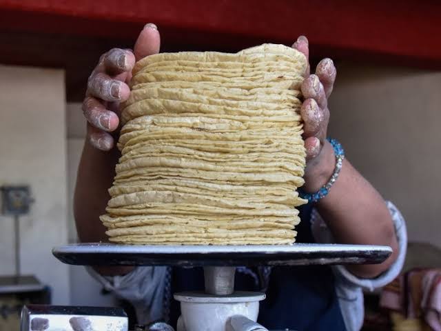 Se va a los $26 pesos el kilo de tortillas en Mazatlán; acusan a la Profeco de no actuar con las harineras