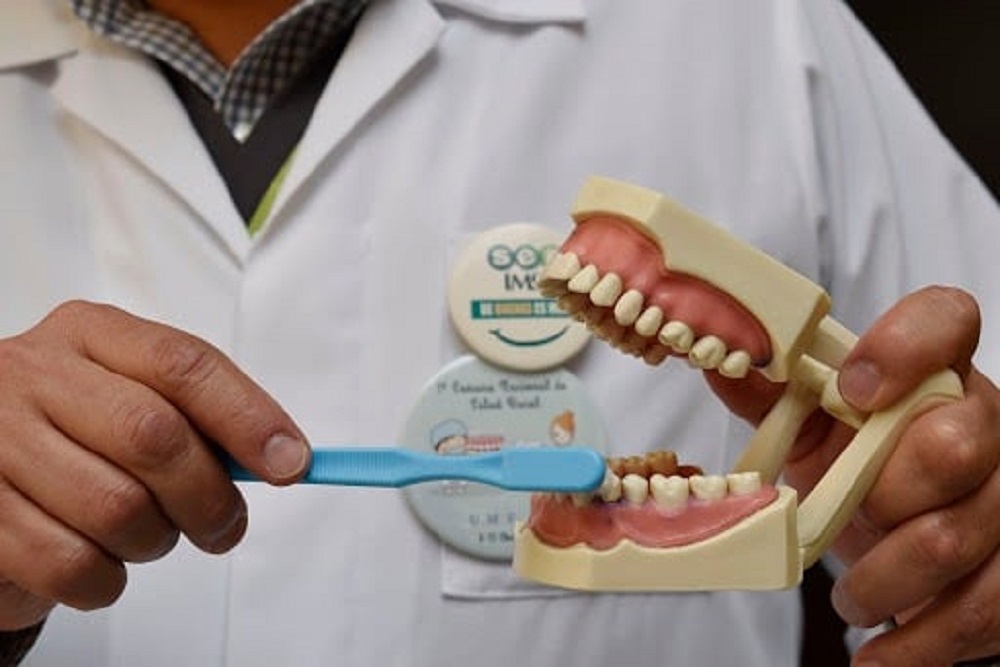 ¡Cuida tus dientes! Invita IMSS Sinaloa a sus derechohabientes a la Feria de la Salud Bucal