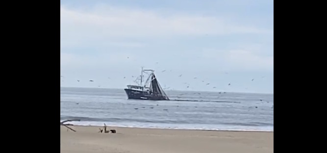 A la vista de todos y a diario, barcos sardineros pescan en zonas prohibidas en costas de Guasave