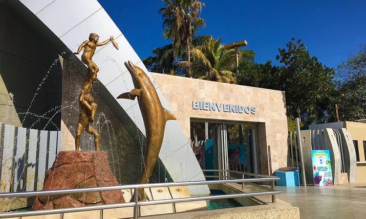 ¿Sonarán las Golondrinas? Consejo del viejo Acuario Mazatlán sesionará para decir adiós y cerrar sus puertas