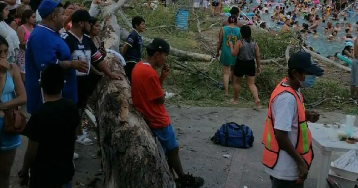Colapsa árbol en balneario de Comanjilla, dejando un bebé sin vida y 12 personas heridas (videos)