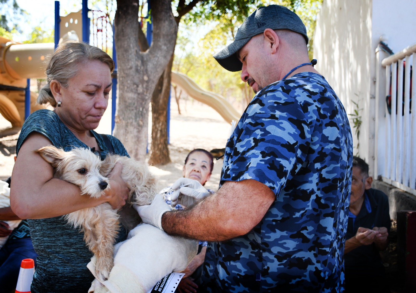 ¿Tienes mascotas? Arranca jornada de esterilización de perros y gatos en el Parque Culiacán