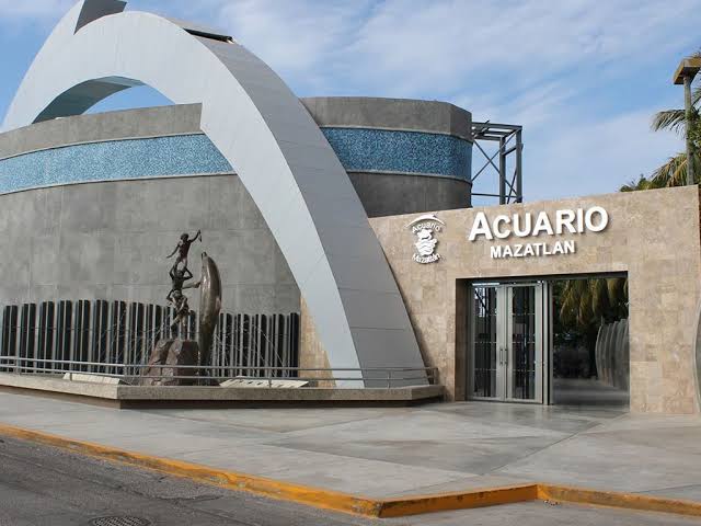 ¿Acuario gratis en Mazatlán? Podría serlo este fin de semana, anuncia alcalde