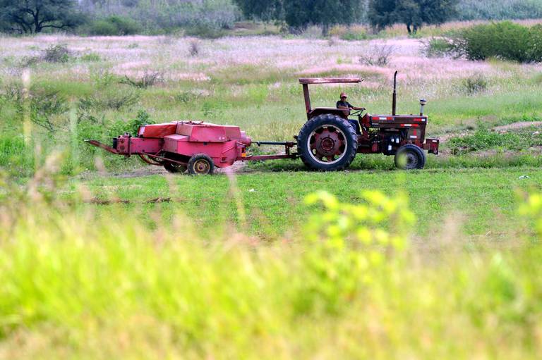 ¿Quién manejará los créditos para productores agrícolas con el cierre de la Financiera Rural? AMLO lo aclara