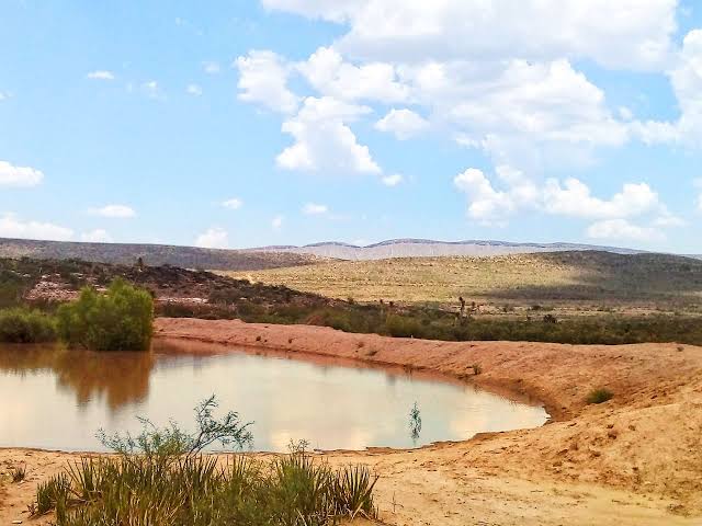CEAPAS proyecta la construcción de 100 minipresas para atender el estiaje en Sinaloa
