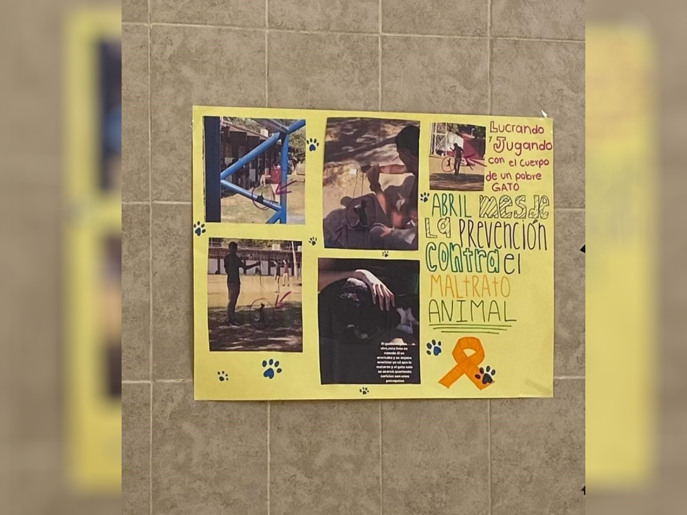 Con carteles alumnos del Cetis 108 en Guasave se manifiestan; rechazan que el gato fue asesinado por perros
