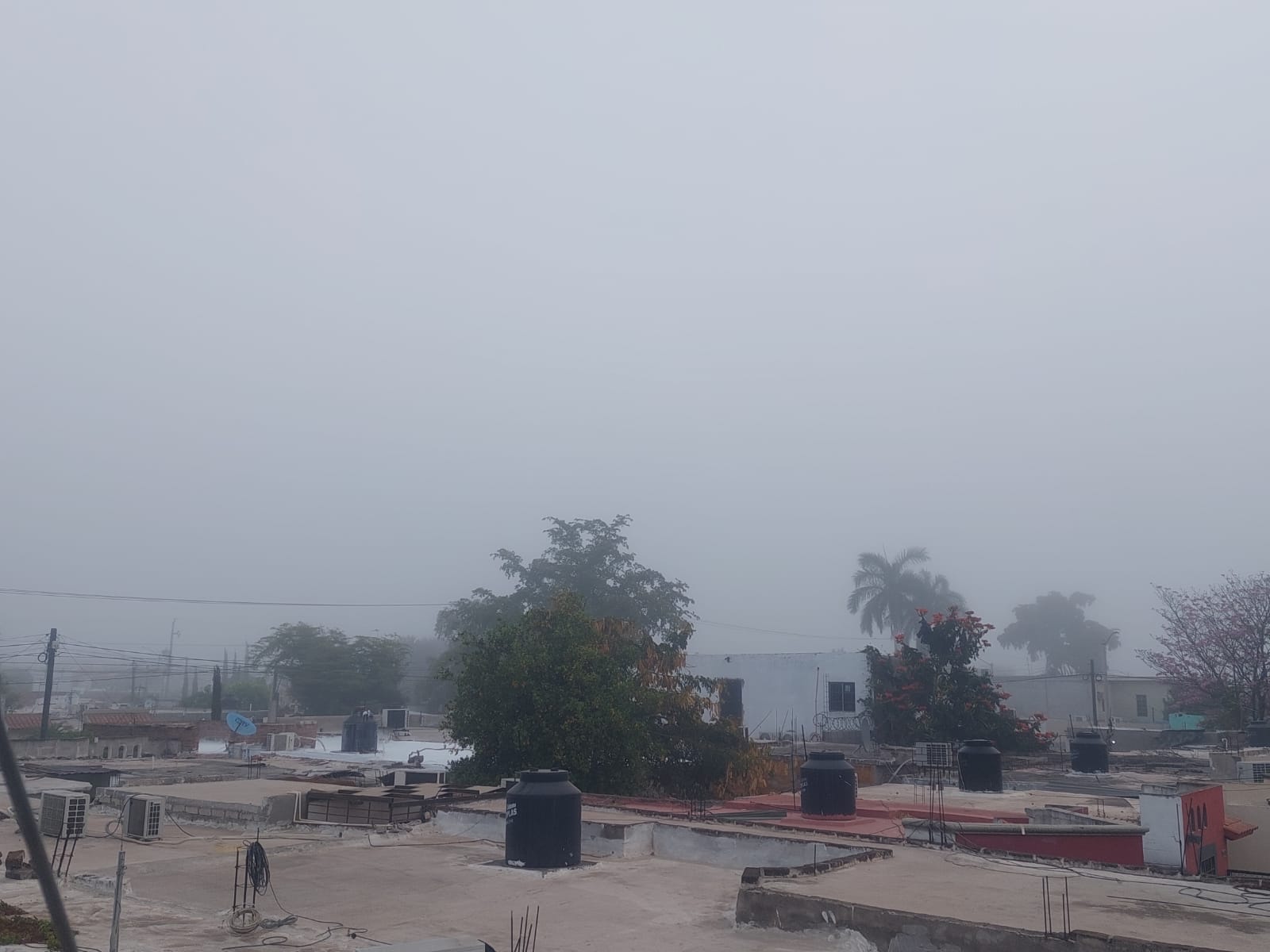 Denso banco de niebla cubre Los Mochis