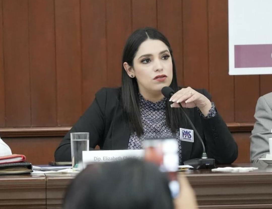 Acusa Elizabeth Chía a diputadas morenistas de “pintearse” reuniones de Comisión de Derechos Humanos