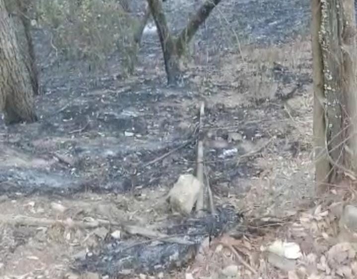 En cenizas quedó el sistema de agua que abastece a Loberas, Concordia tras incendio