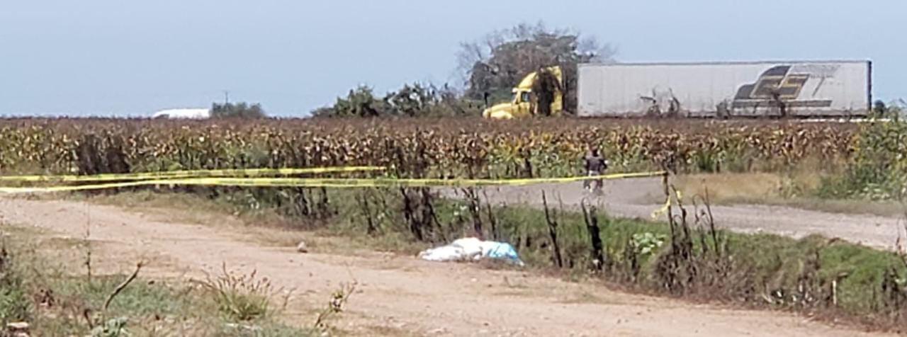 En estado de descomposición localizan un cuerpo al sur de Culiacán